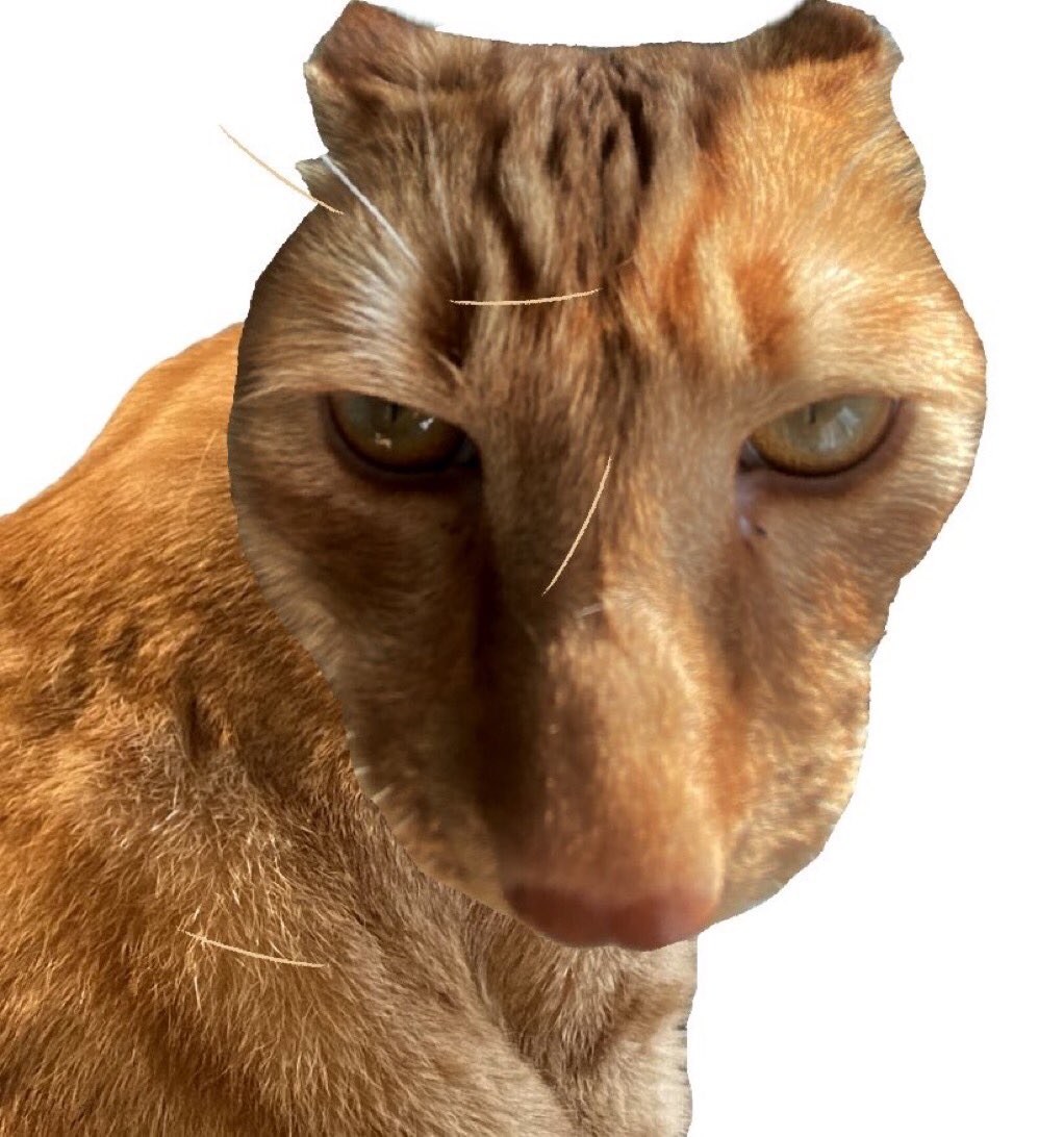 Brush Jjaemu - Play the Viral Cat Hairbrush Reflex Game Online cover